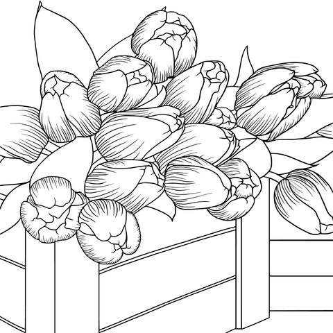 Colorful Tulips Coloring Page