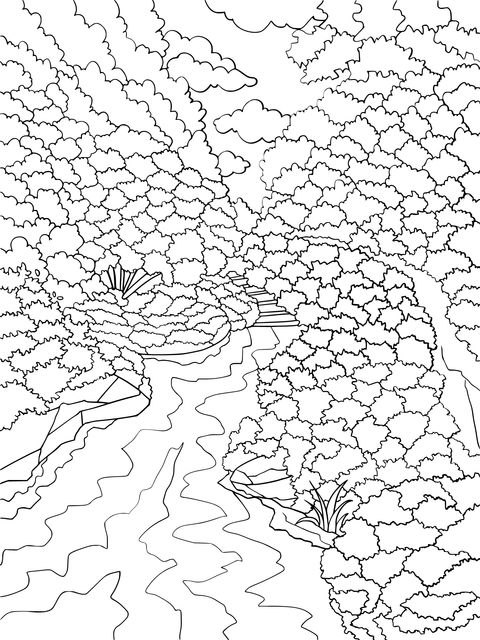 カラフルな森の渓流