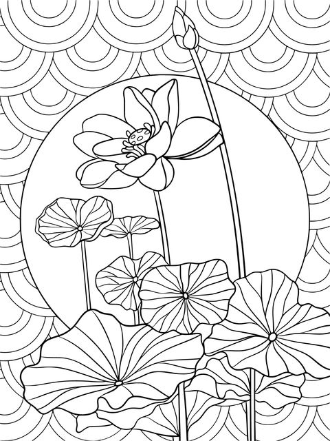 Beautiful Lotus Coloring Page