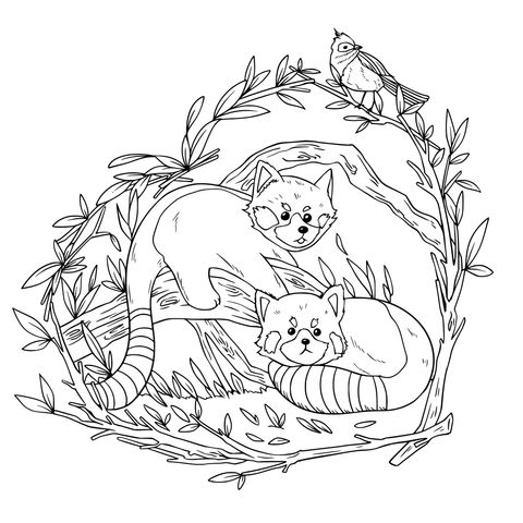 Adorable Coloring Page of Red Pandas and a Bird