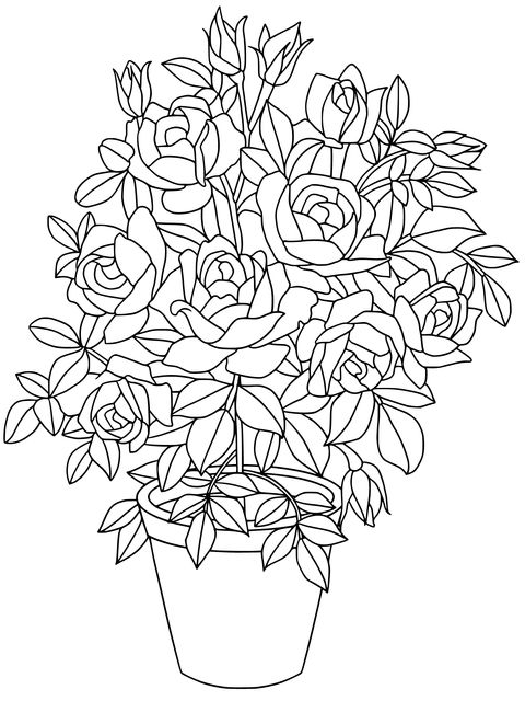 Yellow Rose Potted Plant Coloring Page