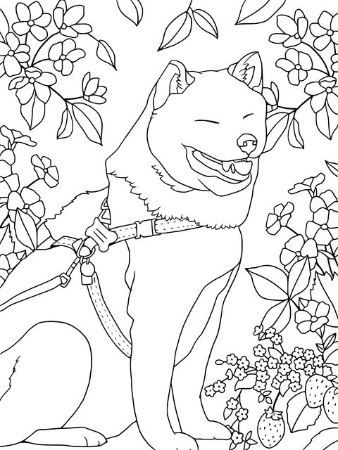 Página de Colorir de um Adorável Shiba Inu e Flores