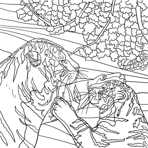 Warm - hearted Tigers: Animal - themed Coloring Page