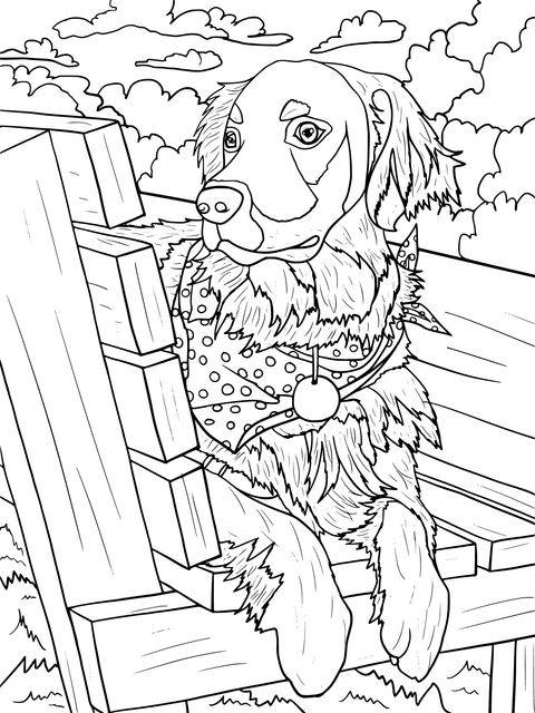 Adorable Golden Retriever Coloring Page: A Cute Pet Sitting on a Bench