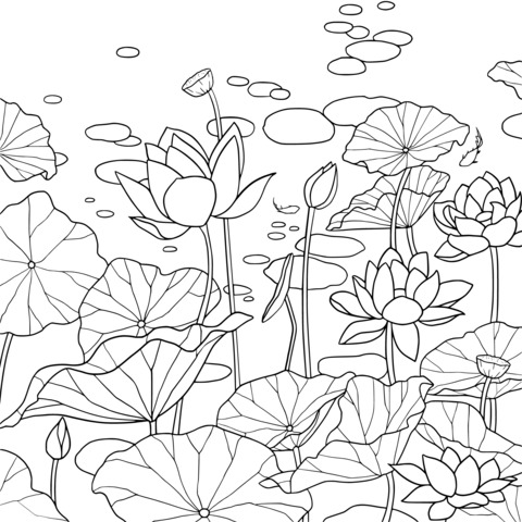 Beautiful Lotus Pond Coloring Page