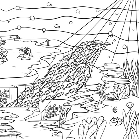 Coloring Page of Underwater Fish School