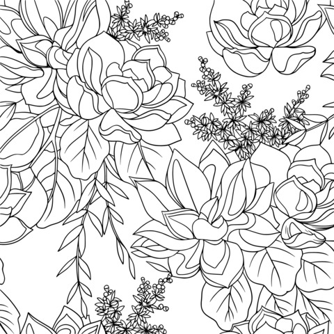 Succulent Plants Coloring Page