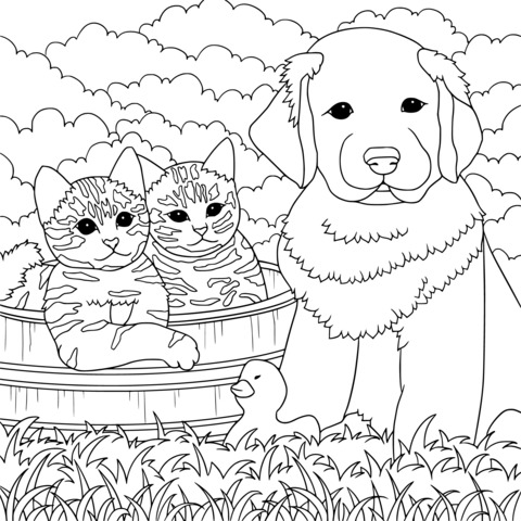 Adorable Cats, Dog and Rubber Duck Coloring Page