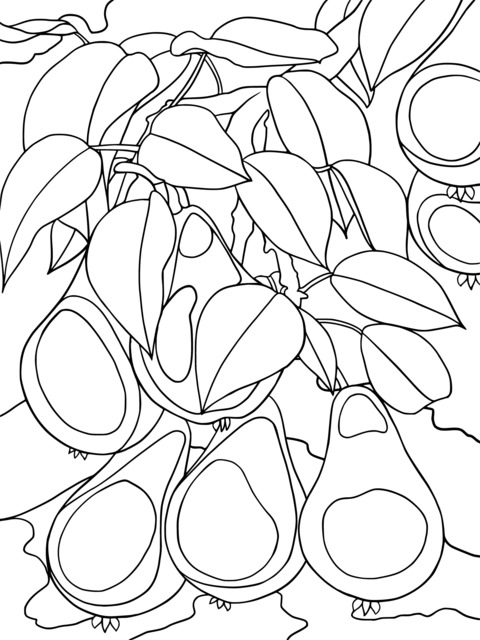 Coloring Page of Pears Hanging on a Branch