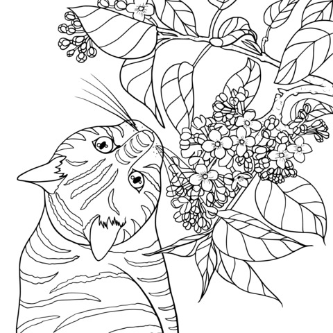 Página para Colorir de um Gato Cheirando Flores