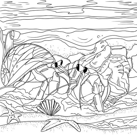 Coloring Page of Hermit Crabs on the Beach