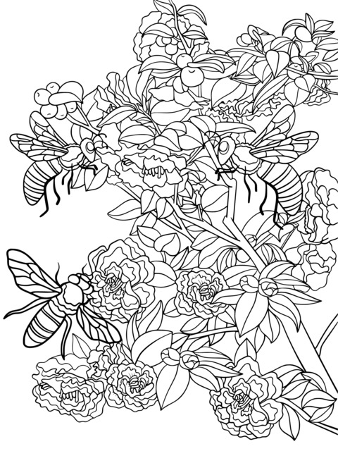 Flower and Bee Coloring Page