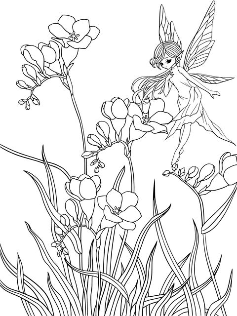 Flower and Fairy Coloring Page