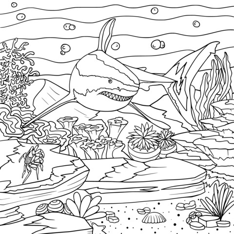 Shark Underwater World Coloring Page