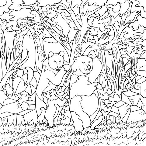 Página de Colorear de una Familia de Osos en el Bosque