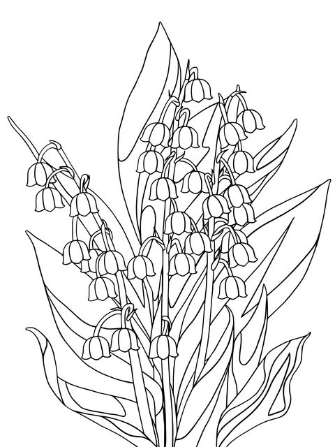 Bouquet of Lily - of - the - Valley