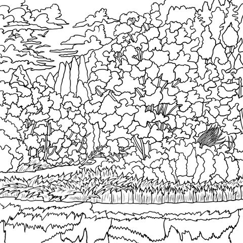 Página para Colorir de Paisagem Florestal Outonal