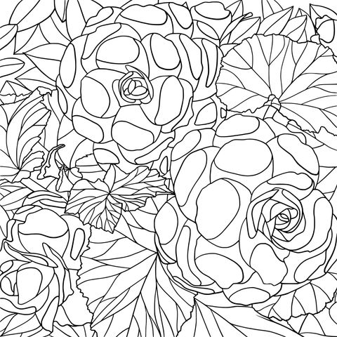 Gorgeous Purple Roses Coloring Page