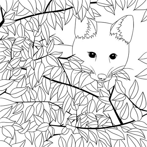 Fox Hidden Among Green Leaves Coloring Page