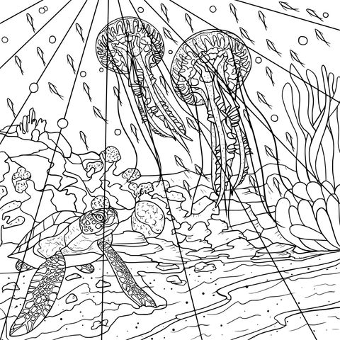 Ocean Creatures Coloring Page: Turtle and Jellyfish