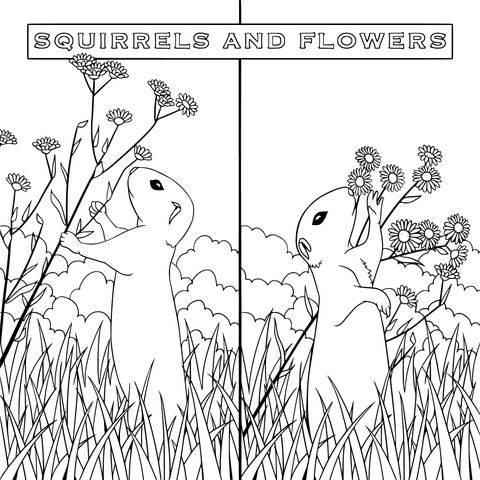 Squirrels and Flowers