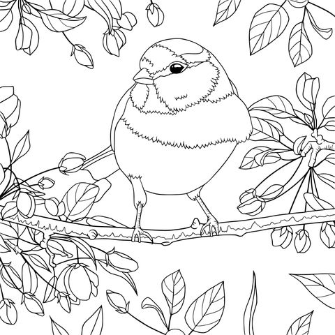 Coloring Page: A Bird on a Flower - laden Branch