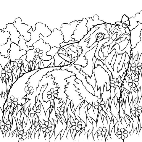 Coloring Page of an Animal and a Butterfly on the Grass