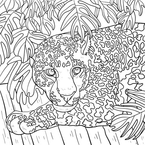 Página de Colorear de un Leopardo en la Selva