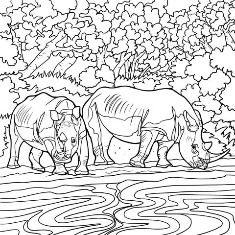 Página para Colorear de Dos Rhinocerontes al Lado del Agua