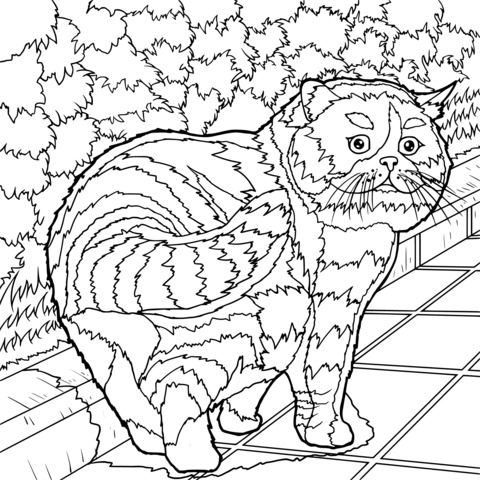 Cute Cat Coloring Page