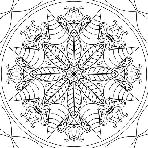 Padrão de Mandala Floral Colorido