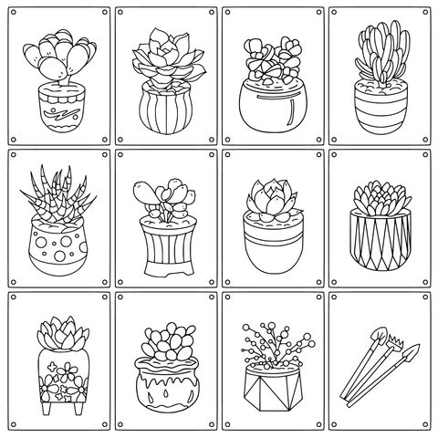 多肉植物填色页：多样盆栽与工具插画