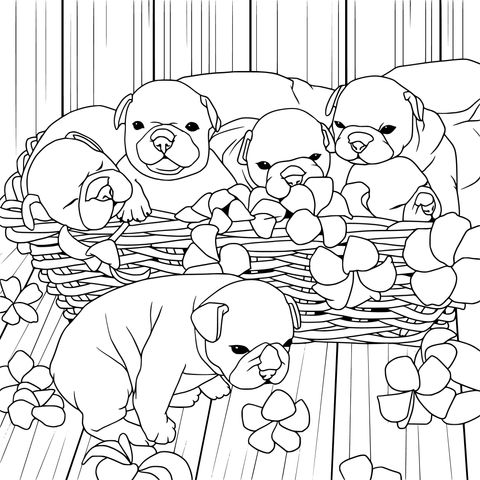 Puppies in a Basket with Yellow Flowers