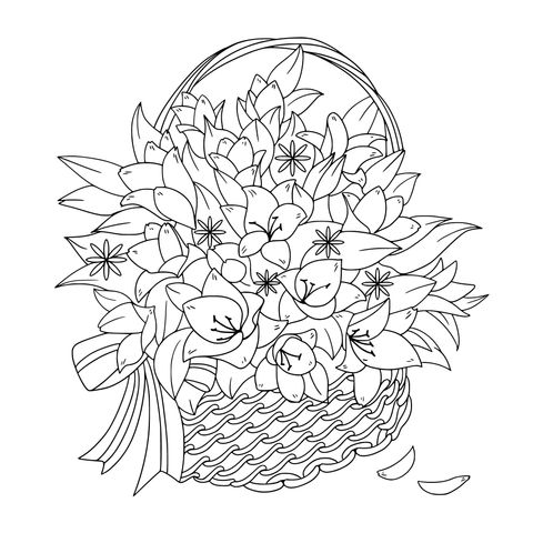 Flower Basket Illustration