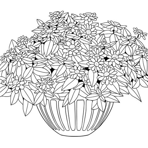 鉢植えの花の塗り絵ページ