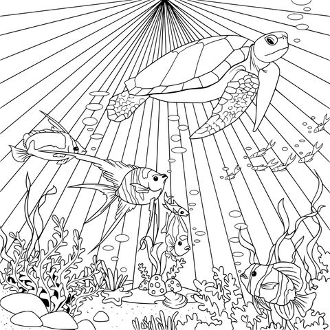 Underwater World Coloring Page: Sea Turtle and Colorful Fish