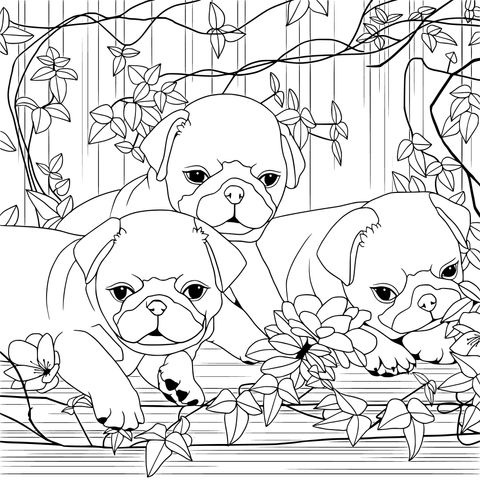 Three Pug Puppies and Flowers