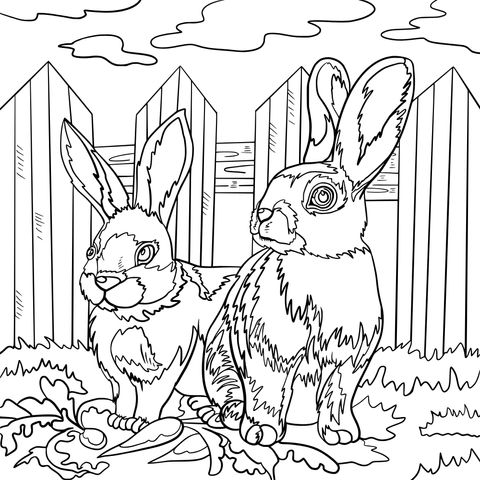 Adorable Rabbits Coloring Page: Two Rabbits and Carrots Scene