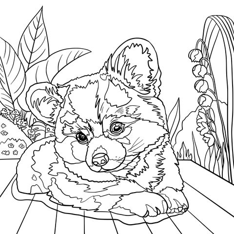 Dibujo para colorear de un adorable perro Corgi