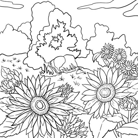 Página de Colorear de Paisaje con Girasoles