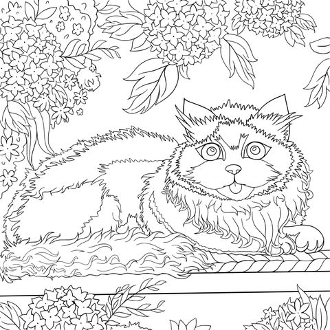 Cute Cat and Flower Coloring Page