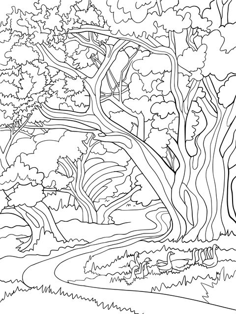 Coloring Page of a Forest Path and Resting White Geese