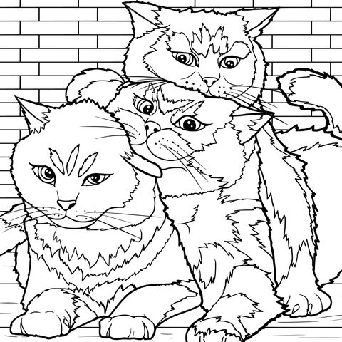 3匹の愛らしい猫が寄り添う塗り絵ページ