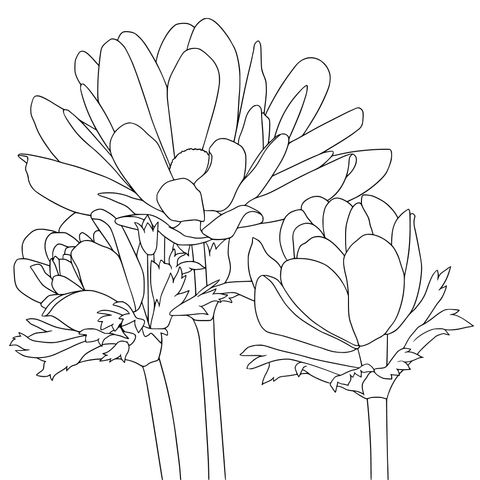 Blue Flower Coloring Page