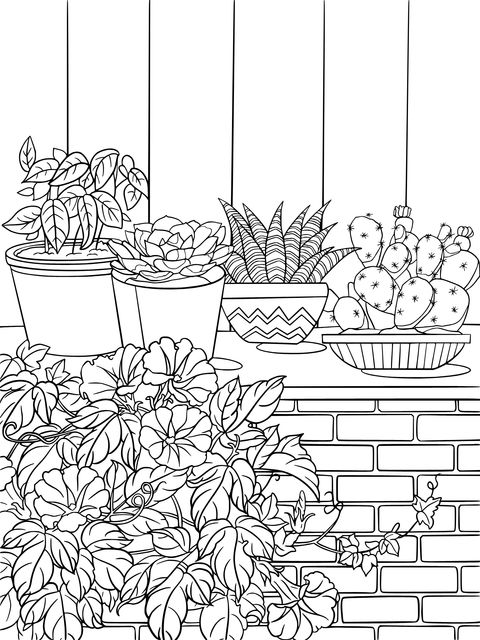 Potted Plants and Flowers on the Windowsill