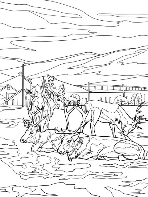 Reindeer Herd Landscape Coloring Page