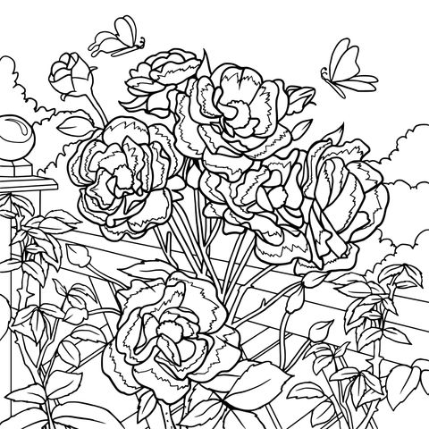 Beautiful Garden Roses Coloring Page