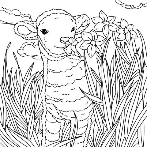 Adorable Lamb Sniffing Yellow Flowers Coloring Page