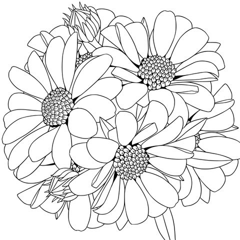 Beautiful Yellow Flower Coloring Page