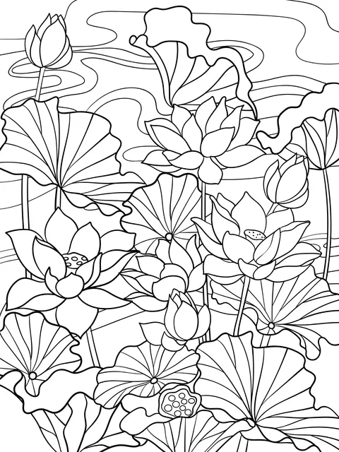 Blooming Lotus Flowers